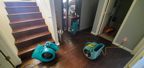 Best Water damage restoration near me  in Mountain View, HI