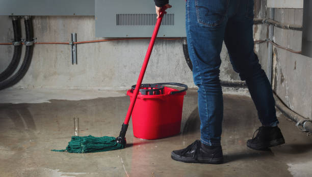 Best Commercial water damage restoration  in Mountain View, HI