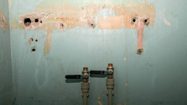 Best Emergency water damage restoration  in Mountain View, HI
