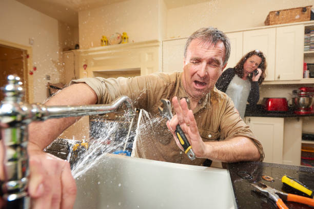 Best Basement water damage restoration  in Mountain View, HI